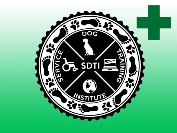 SDTI Logo with Green Cross