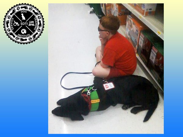 Boy with service dog in public.