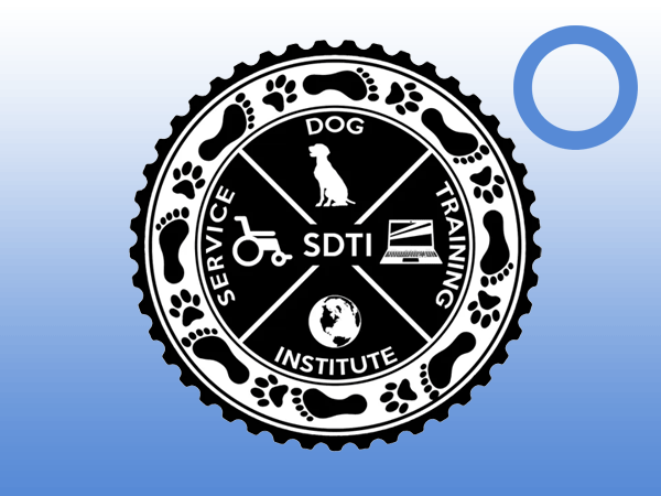 SDTI Diabetes Training Logo