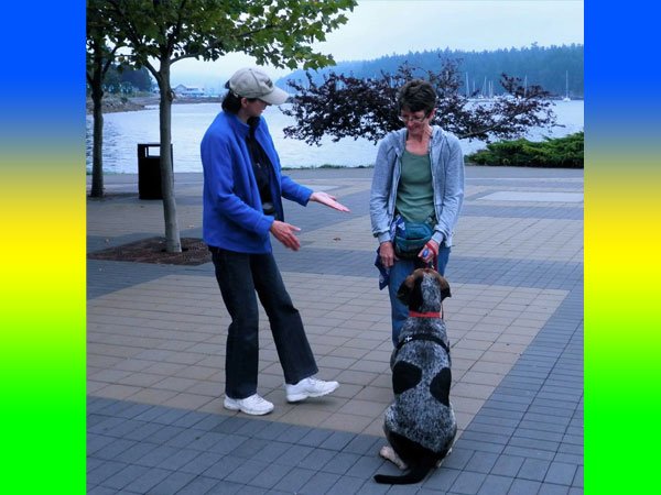 Dog trainer helping client.