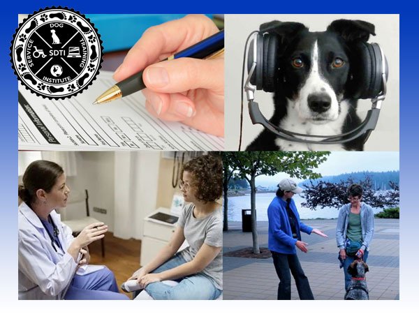 Service providers assessing clients