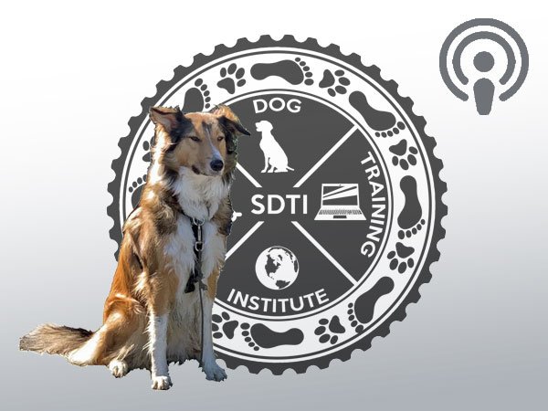 SDTI Logo with service dog and Podcast Logo