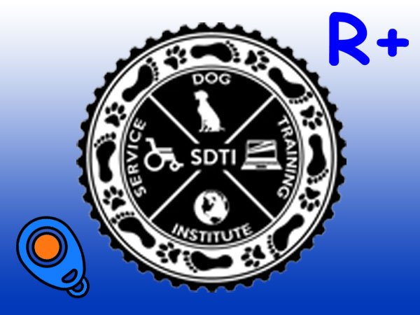 Website logo for SDTI positive reinforcement library post.