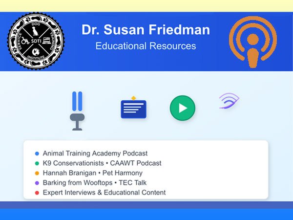 Susan Friedman Postcast Blogpost thumbnail