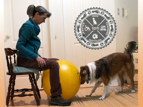 Training dog to do treiball