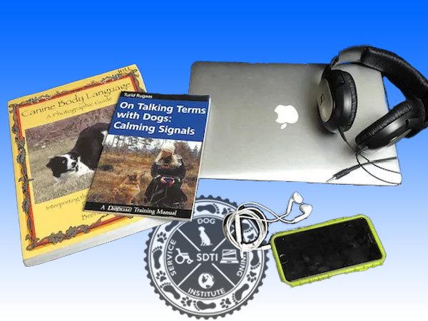 sdti-library-promo6