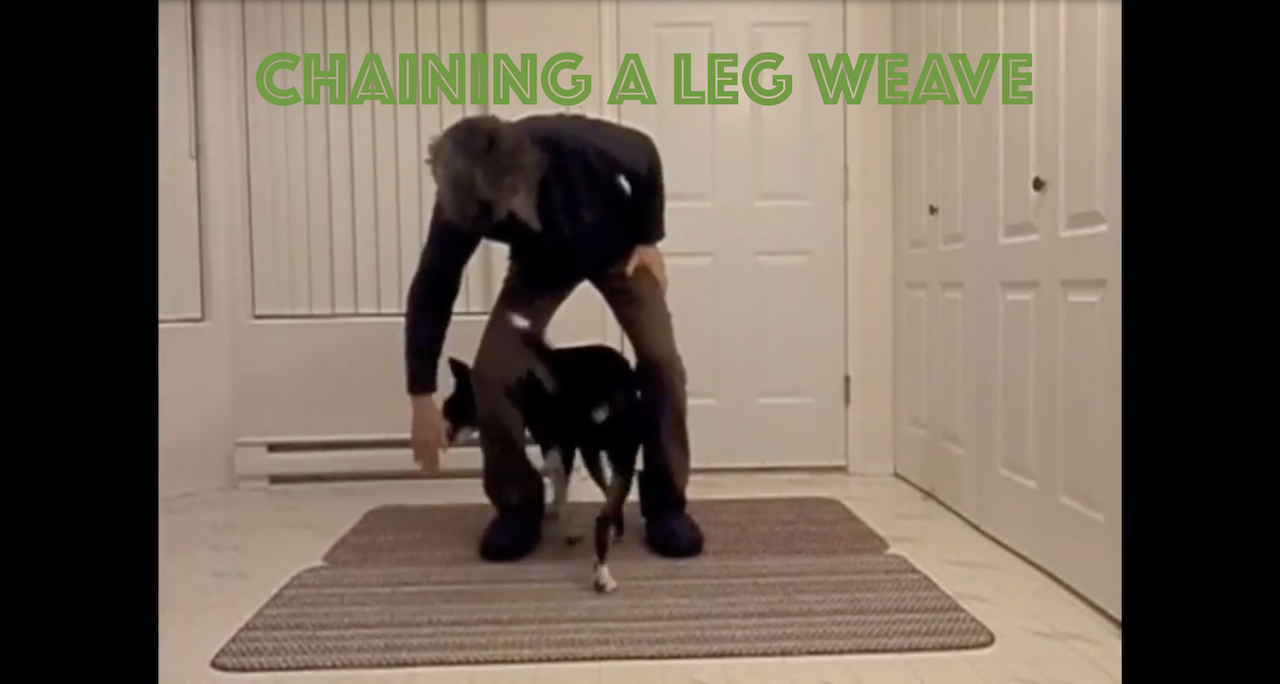 Chaining Behaviors Together