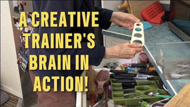 Creative Dog Training