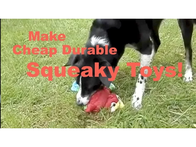Dog Toys