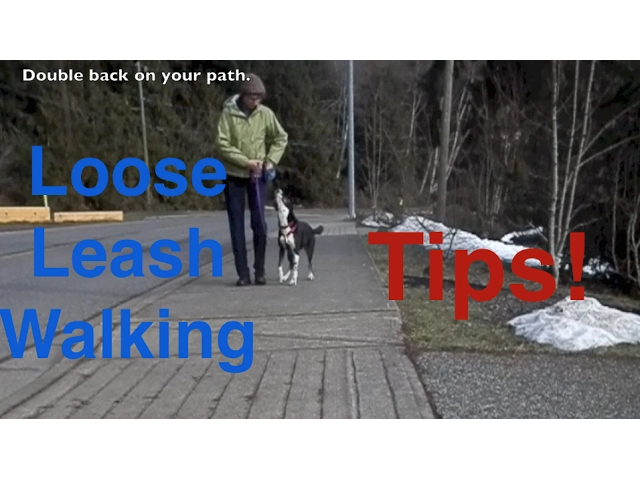 Shaping Behaviors in Small Steps