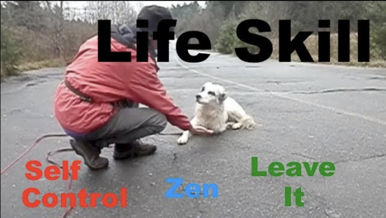 Impulse Control & Self-Control