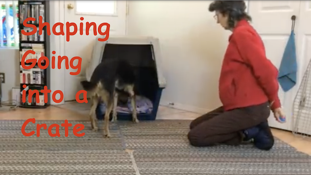 Shaping Behaviors in Small Steps