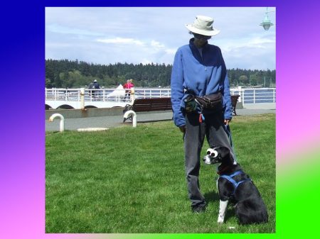 Owner training mistakes