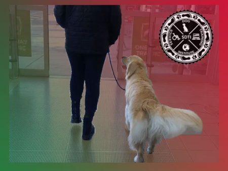 service-dog-store-w1