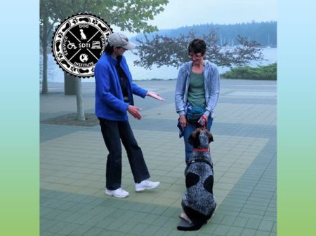 Dog trainer instructing client